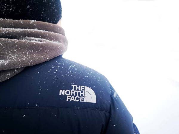 لباس زمستانی برند نورث فیس north face