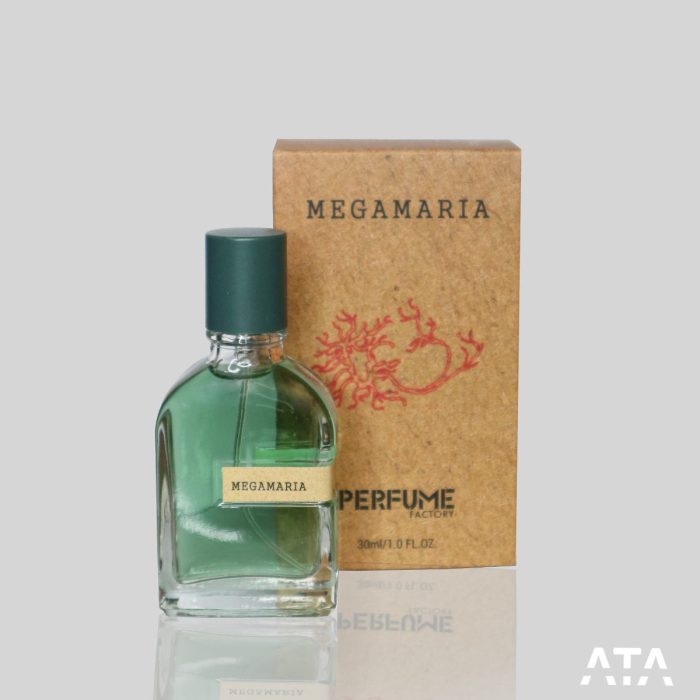عطر مردانه Megamaria - Image 1